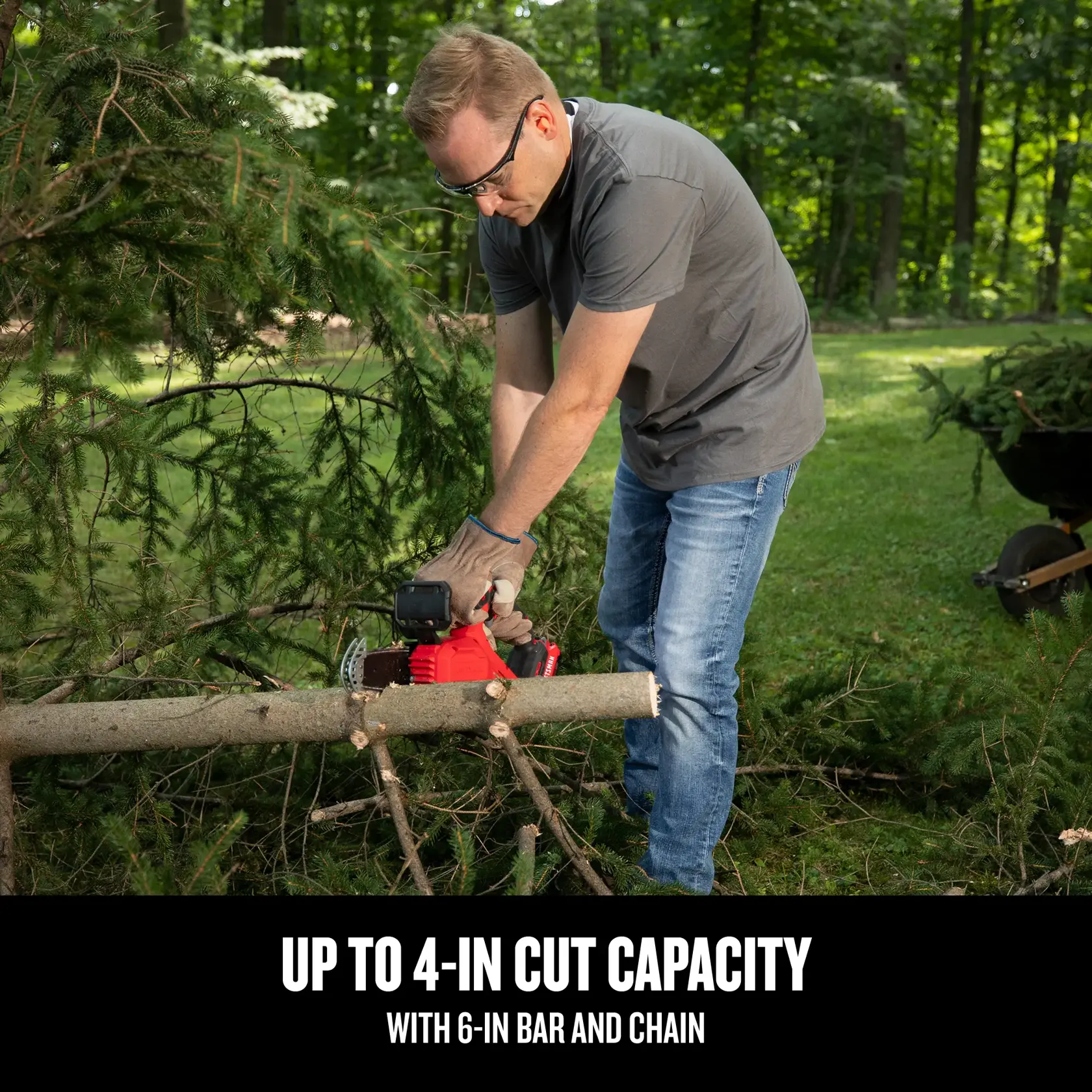 V20 Cordless Pruning Chainsaw