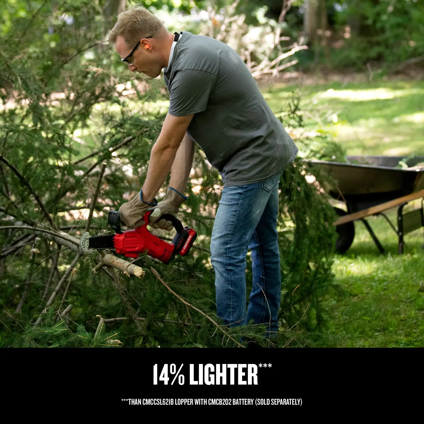 V20 Cordless Pruning Chainsaw