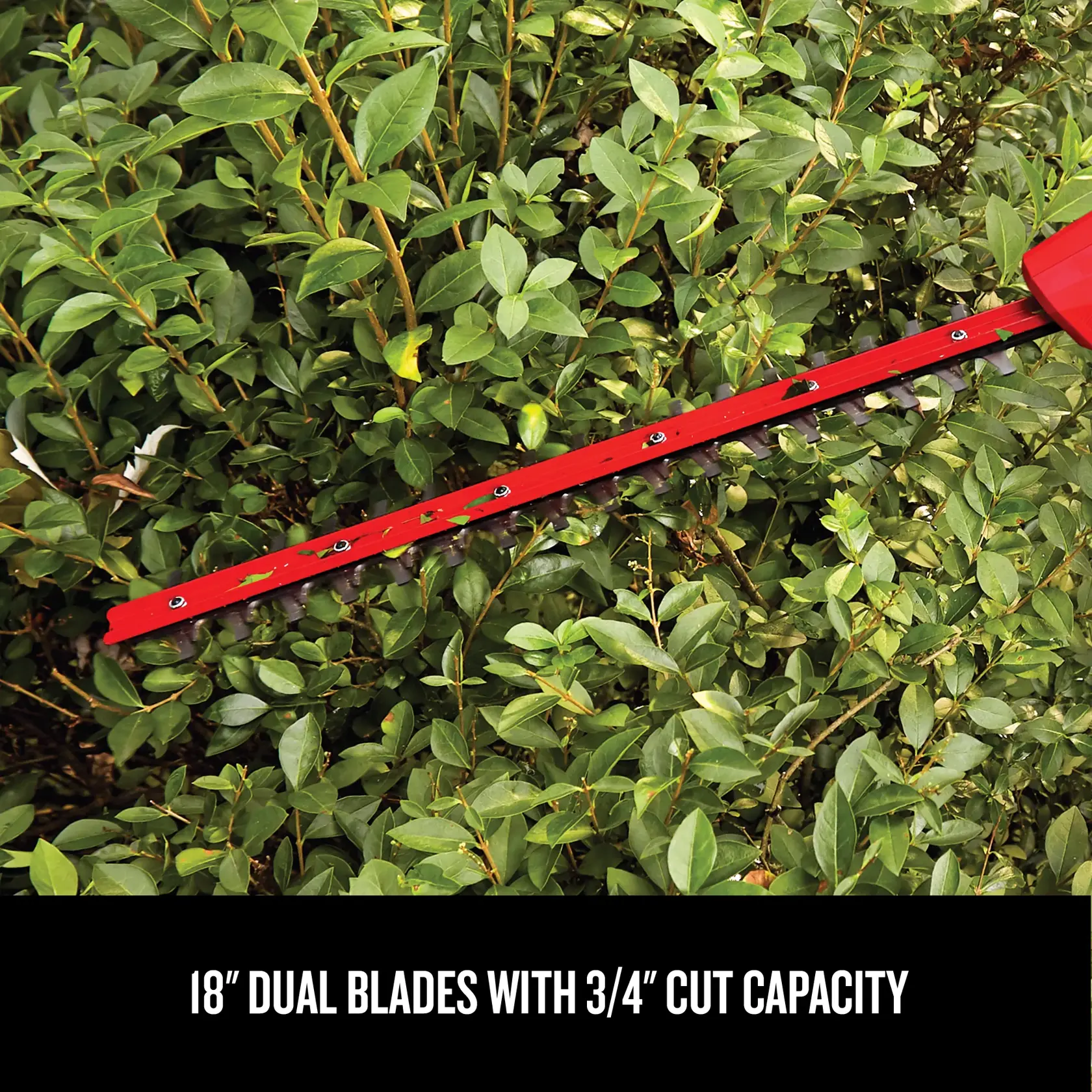 Graphic of CRAFTSMAN Pole Saws highlighting product features