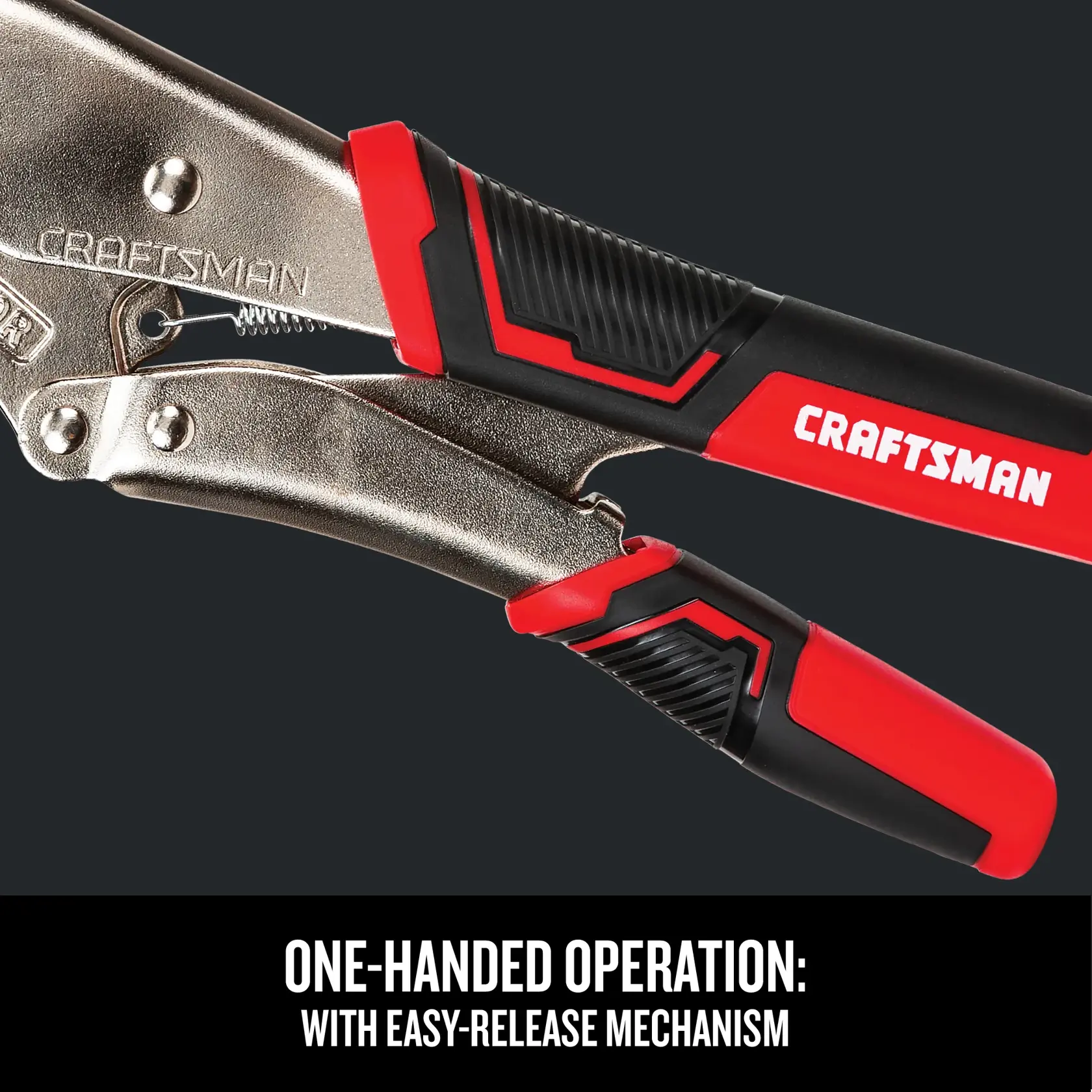Graphic of CRAFTSMAN Pliers: Locking highlighting product features