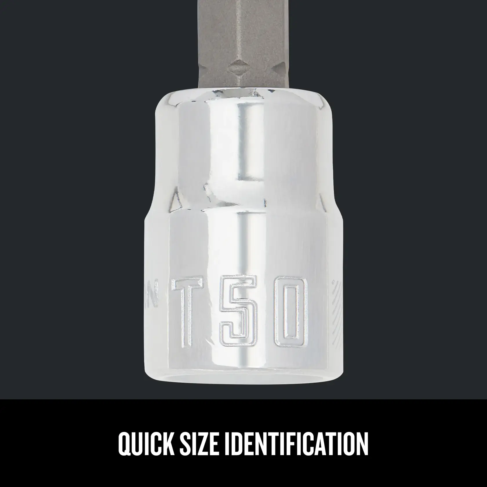 Graphic of CRAFTSMAN Sockets: Torx highlighting product features