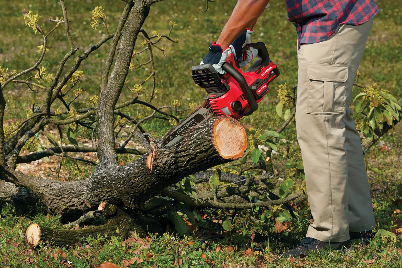 Man using the CRAFTSMAN Cordless 12-Inch Compact Chainsaw to cut a tree trunk