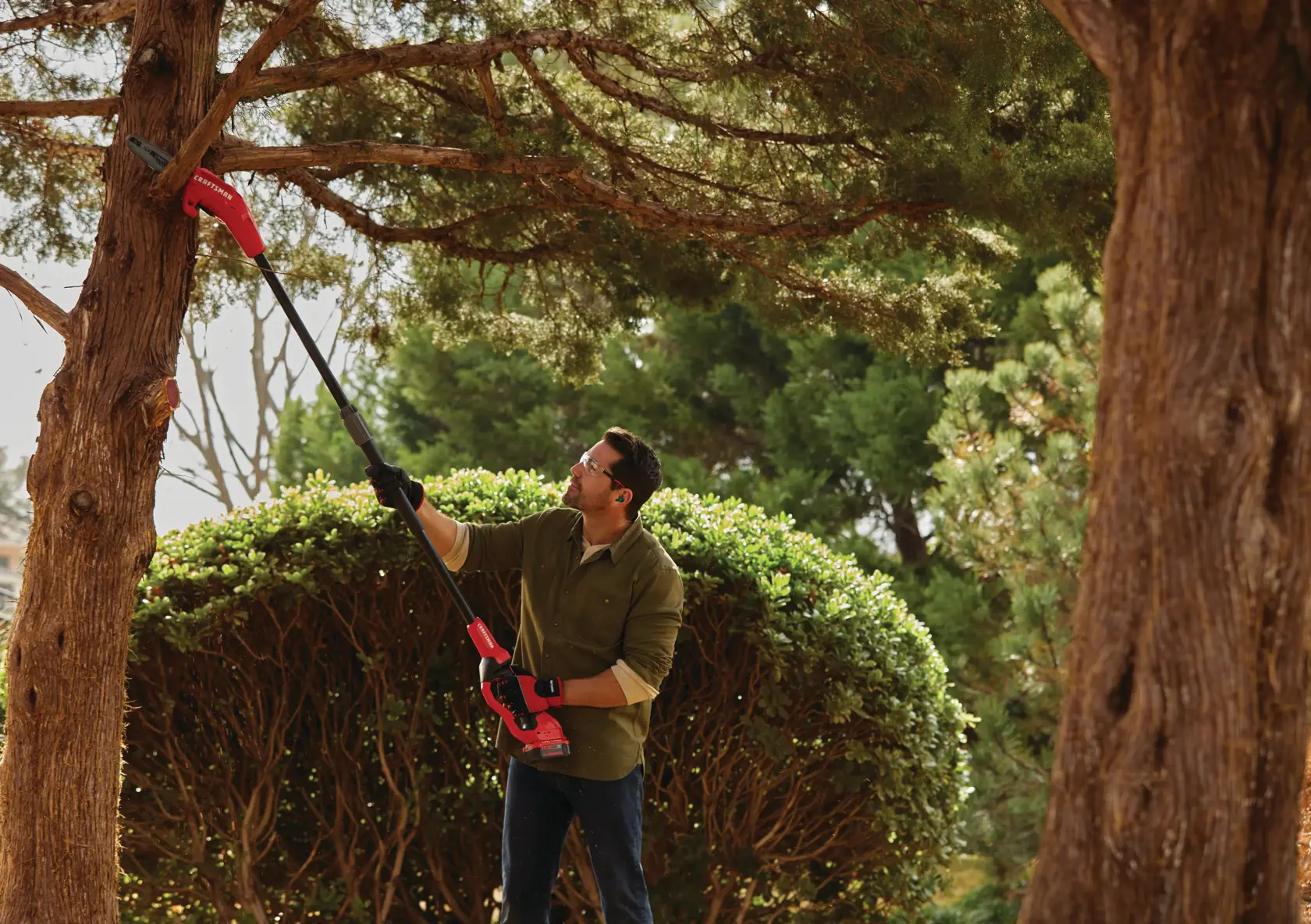 Ensemble pour scie à élaguer sans fil V20* (4 Ah)