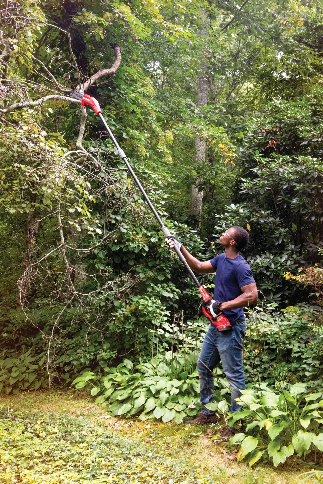 Photo of person using CRAFTSMAN pole saw CMCCSP20M1 to trim high tree branches outdoors in a wooded garden.