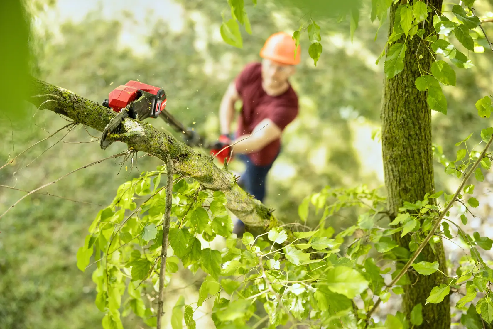 Man cutting branch with CRAFTSMAN V20 BRUSHLESS RP Pole Saw